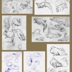Zoo Sketches