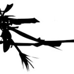 Late night party (WIP)